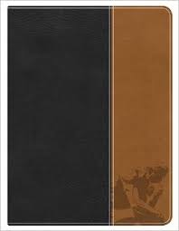 Apologetics Study Bible For Students, Brown/Black/Tan Imitation Leather Imitation Leather – February 1, 2010 by Sean McDowell  (Editor), Holman Bible Staff (Editor)