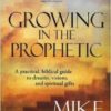 Growing In The Prophetic: A practical biblical guide to dreams, visions, and spiritual gifts Paperback – November 4, 2008  by Mike Bickle  (Author) - Image 2