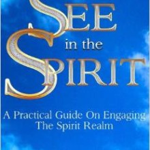 How To See In The Spirit: A practical guide on engaging the spirit realm Paperback – October 12, 2013 by Michael R. Van Vlymen  (Author )