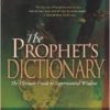 Prophets Dictionary Paperback – April 7, 2006 by PRICE PAULA (Author) - Image 2