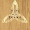 What Is The Trinity? (Crucial Questions (Reformation Trust)) By R.C.Sproul (2011) Paperback - Image 2
