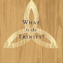 What Is The Trinity? (Crucial Questions (Reformation Trust)) By R.C.Sproul (2011) Paperback