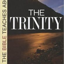 What the Bible Teaches about the Trinity Paperback – August 1, 2011 by Stuart Olyott  (Author)